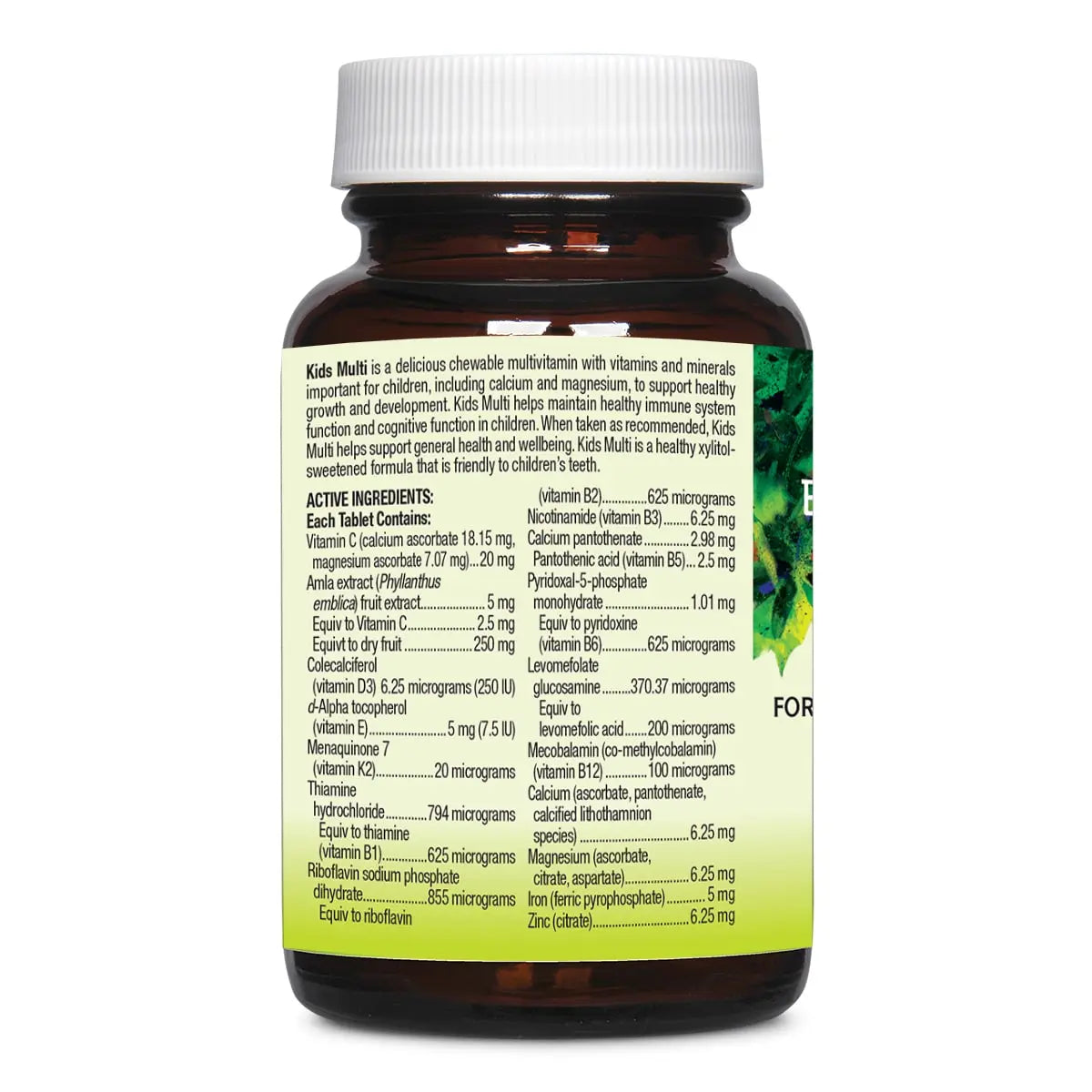 Back label of Whole Earth & Sea Kids Multi bottle with product blurb and active ingredients list.