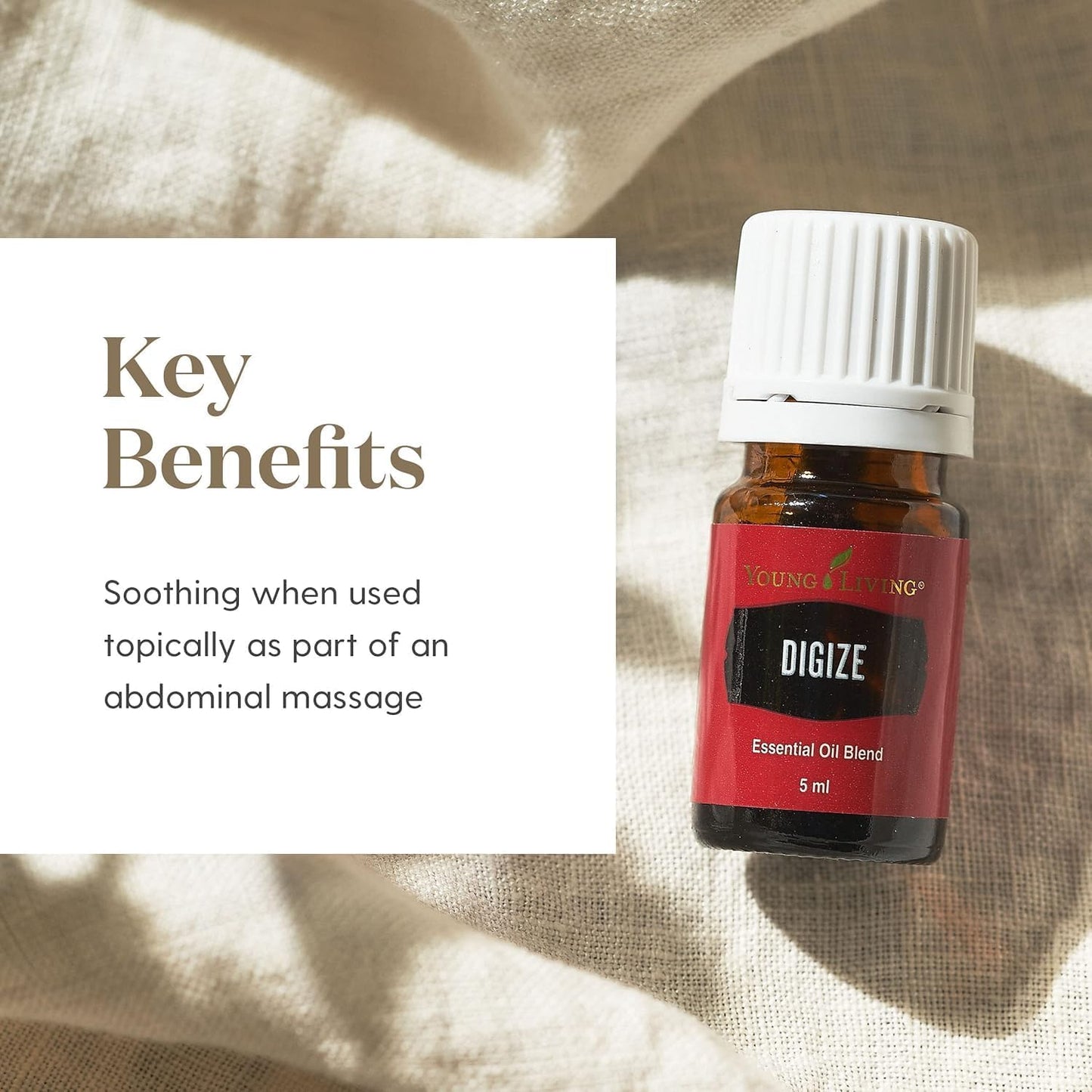 Young Living Digize essential oil bottle on a textured fabric background with text about key benefits.