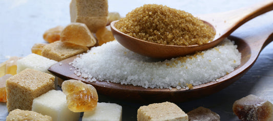 Assorted sugars in different forms to illustrate “are all sugars the same?”