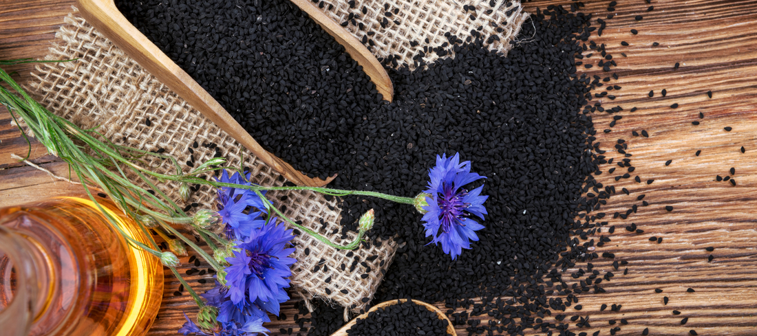 Pile of black seeds (Nigella sativa) used to make black seed oil for immune and recovery support.