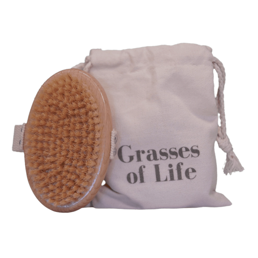 Grasses of Life Boar Bristle Dry Body Brush – natural beechwood handle & boar bristles for exfoliation, circulation & lymphatic drainage support.