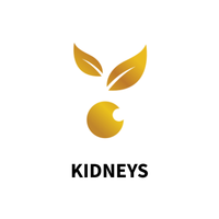 Kidneys collection – shop kidney health and urinary support products.