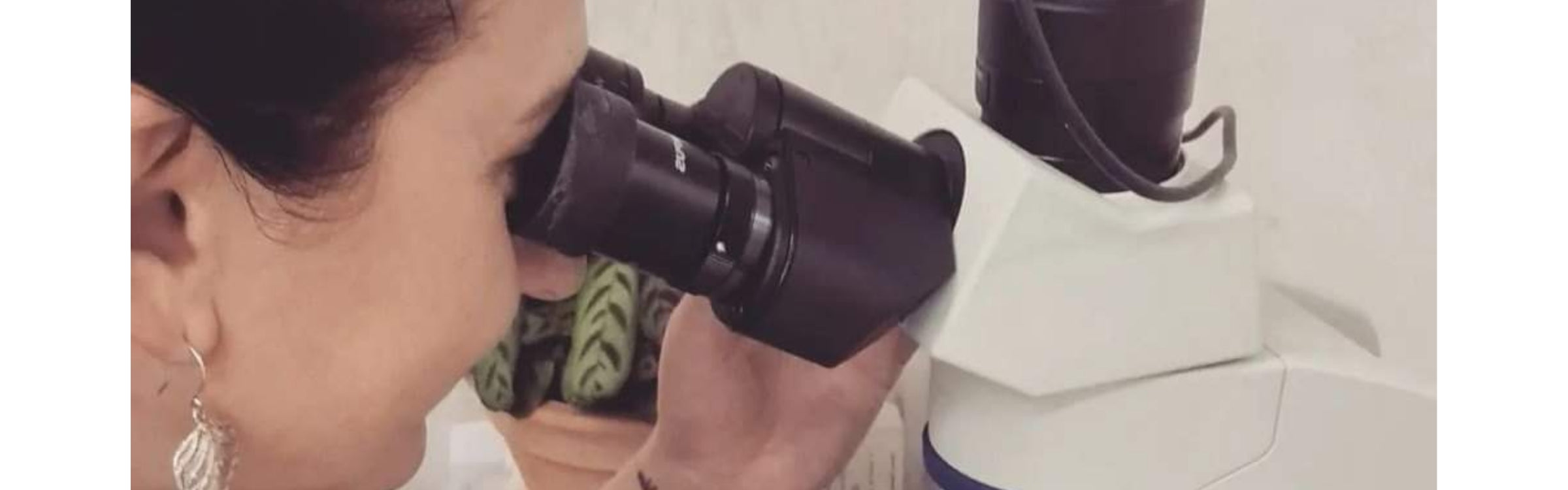 Diane Hackner using a microscope to assess a live blood sample.