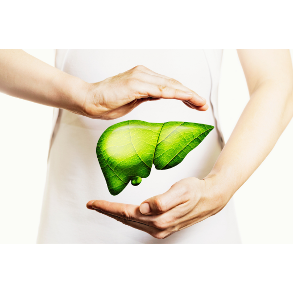 Protect your body's hardest-working organ and unlock better health from the inside out.
Join Diane Hackner to learn the importance of liver health – why it matters more than you think, how to support its function naturally, and real-life case studies of people who’ve transformed their health by doing the work. When you support your liver, your whole body benefits!