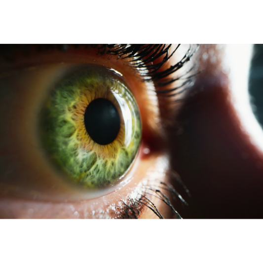 Join Diane Hackner to gain a clinical introduction to Iridology and Sclerology, exploring how the iris and sclera can reflect systemic imbalances, genetic predispositions, and markers of physiological stress.

This masterclass offers a deeper understanding of how the eyes can provide insight into our overall health!