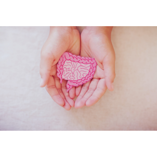 Join Diane Hackner for a powerful webinar on bowel health – the true foundation of wellbeing. The bowels are the river of life or death, influencing everything from energy to immunity. When they’re compromised, the whole body feels it.
Come and learn why restoring bowel function is essential and how to support it for lasting health.