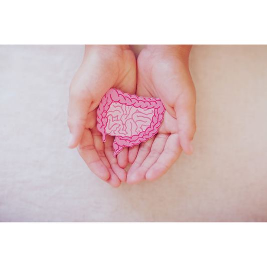 Join Diane Hackner for a powerful webinar on bowel health – the true foundation of wellbeing. The bowels are the river of life or death, influencing everything from energy to immunity. When they’re compromised, the whole body feels it.
Come and learn why restoring bowel function is essential and how to support it for lasting health.