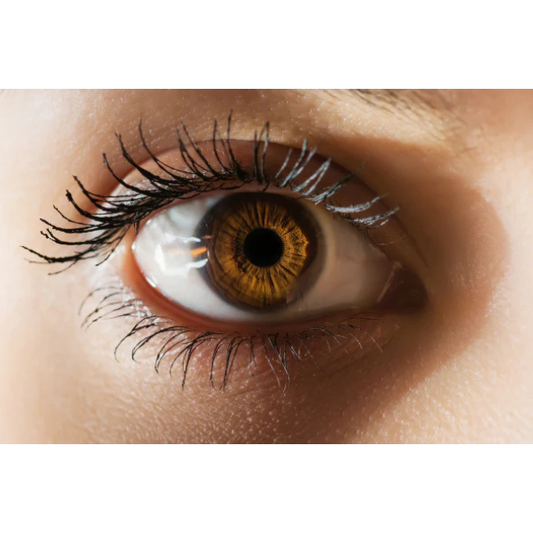 This exclusive add-on allows you to convert any one of your Power Pack sessions into an Iris and Sclera Analysis appointment – a holistic view of your physical, emotional, and energetic health.