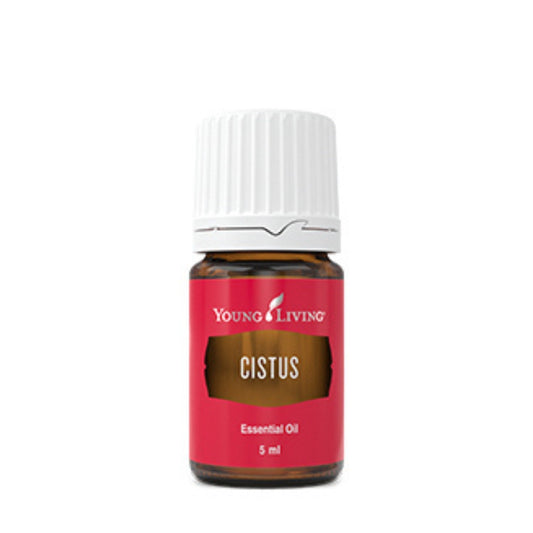 Cistus, also known as Labdanum, Rose of Sharon, or Rock Rose, has a soft, fruity smell with honey overtones. This wonderful essential oil is calming, uplifting, relaxing, and releasing, and may also be stimulating to the five senses.

Cistus has been used for centuries to aid in meditation, as it may help to calm and quiet the mind.