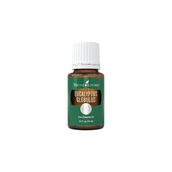 Young Living Eucalyptus Globulus Essential Oil 15ml amber bottle front view pure therapeutic grade.
