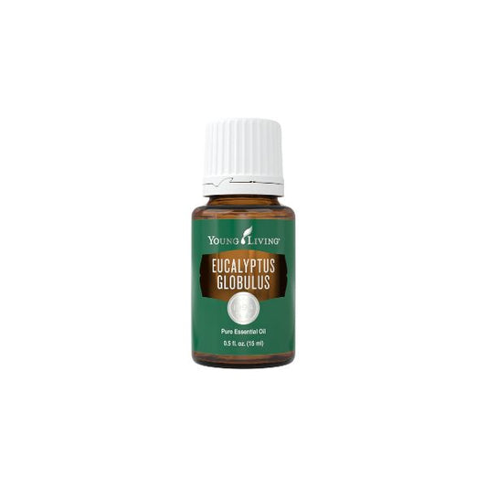 Young Living Eucalyptus Globulus Essential Oil 15ml amber bottle front view pure therapeutic grade.