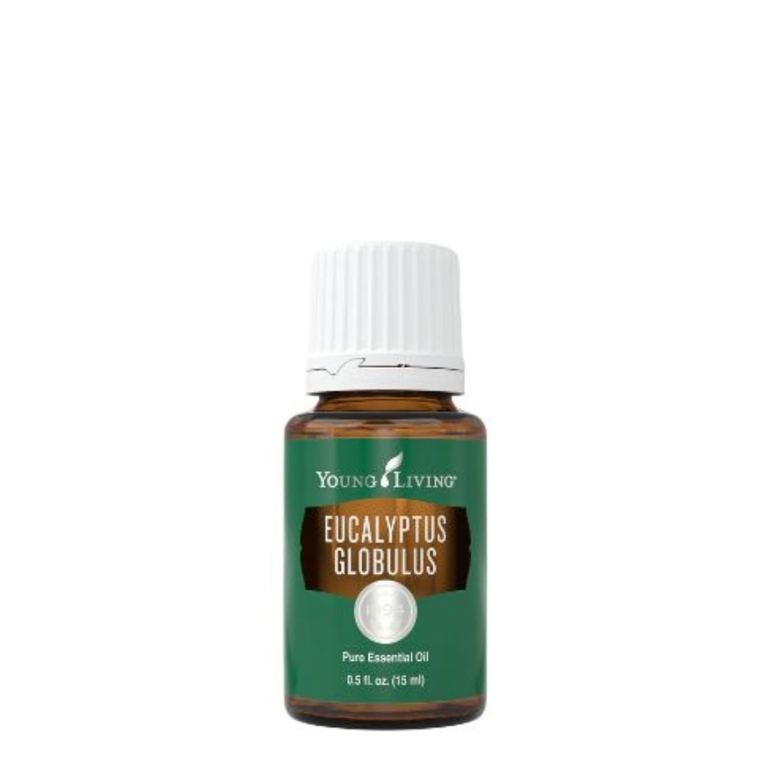 Young Living Eucalyptus Globulus Essential Oil 15ml amber bottle front view pure therapeutic grade.