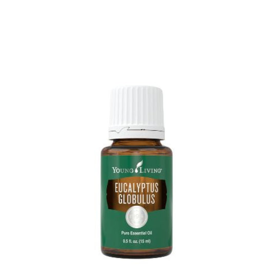 Young Living Eucalyptus Globulus Essential Oil 15ml amber bottle front view pure therapeutic grade.
