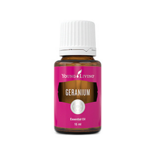 Geranium essential oil (Pelargonium graveolens) is carefully steam distilled from the fragrant flowers and leaves of the popular plant native to southern Africa. With a sweet, floral scent, there are many topical and aromatic Geranium oil uses, including high-end perfumes and skin care products.

Add this oil to lotion, body wash, and hair care products to instantly enhance the aroma of your personal care products or diffuse Geranium oil to create an uplifting, pleasant environment. 