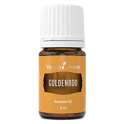 Goldenrod flowering tops are distilled to produce this fragrant oil, which has been used traditionally for its calming, uplifting, and relaxing aroma. Dilute and apply topically to the shoulders, neck, and soles of the feet to help unwind from a stressful day. Goldenrod essential oil has a charming scent which is peppery and has hints of citrus. Its aroma is known to promote calm, mental clarity, and a sense of general wellbeing.