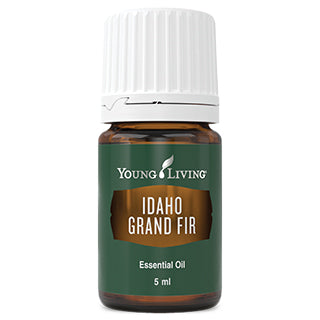 Formerly known as Idaho Balsam Fir, this Young Living fan favourite is back with a new name: Idaho Grand Fir! The oil, aroma, and benefits are unchanged, offering a woodsy, refreshing aroma reminiscent of a freshly cut Christmas tree. These beautiful fir trees are commonly used in the United States as Christmas trees and are native to the Pacific Northwest.