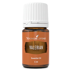 Valerian oil is produced from the distillation of the botanical’s root and has a unique fragrance that is calming and grounding. Use this oil topically on the back of the neck or on the bottoms of feet. Diffuse Valerian essential oil to create an atmosphere of clarity, relaxation, and balance. This essential oil is an important ingredient in Young Living’s Trauma Life blend.