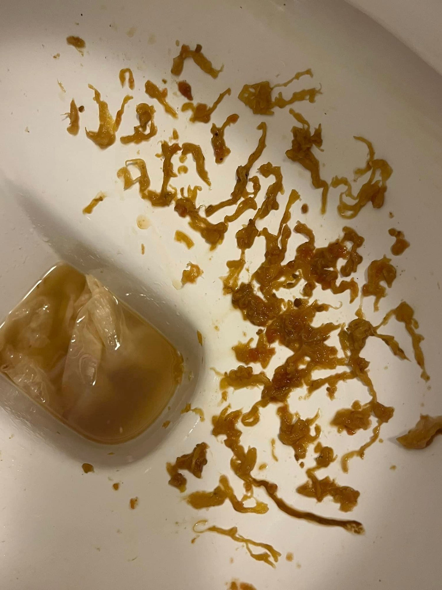 Parasites that have been eliminated from the body as part of Renew Health Co.'s bowel & parasite cleansing protocol. 